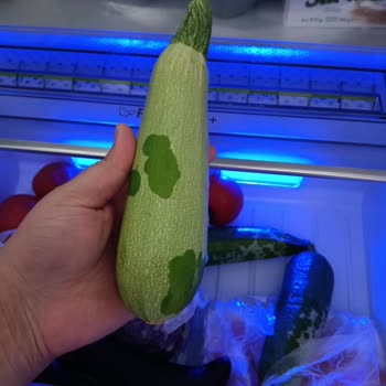 Arçelik Pişmanlıktır Ödediğim Ücretlerin Hiç Biri Helal Değildir.