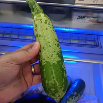 Arçelik Pişmanlıktır Ödediğim Ücretlerin Hiç Biri Helal Değildir.