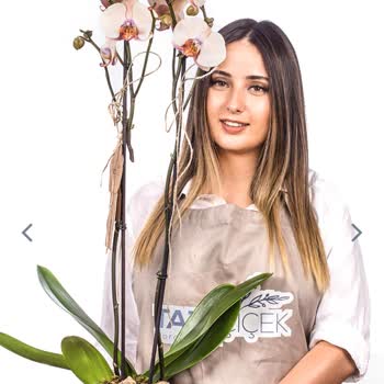 Taze Çiçek (tazecicek.com) Ürünün Görselle İlgisi Yok, İletişim Sıfır