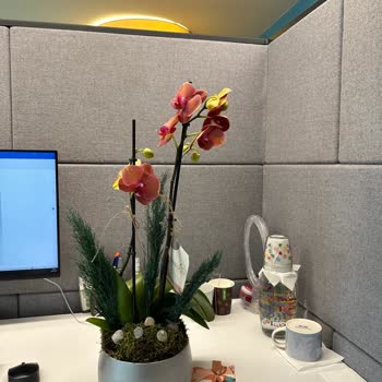 Taze Çiçek (tazecicek.com) Ürünün Görselle İlgisi Yok, İletişim Sıfır