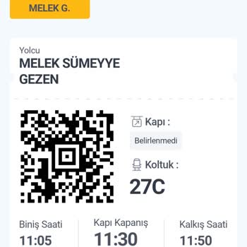 Yazıklar Olsun Pegasus Havayolu Şirketi