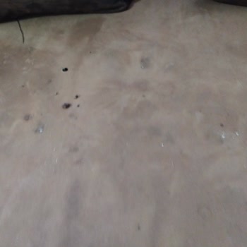 Odexa Tour O. D. E. X. A Tour Un Bizi Gönderdiği Termal Otel