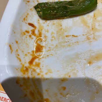 HD İskender Yemekten Kıl Çıktı