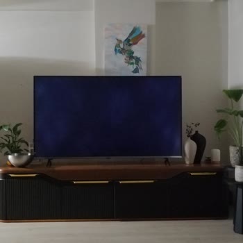 Vestel 70Q9700TT Işık Sızması Ve Hoparlör Sorunu.