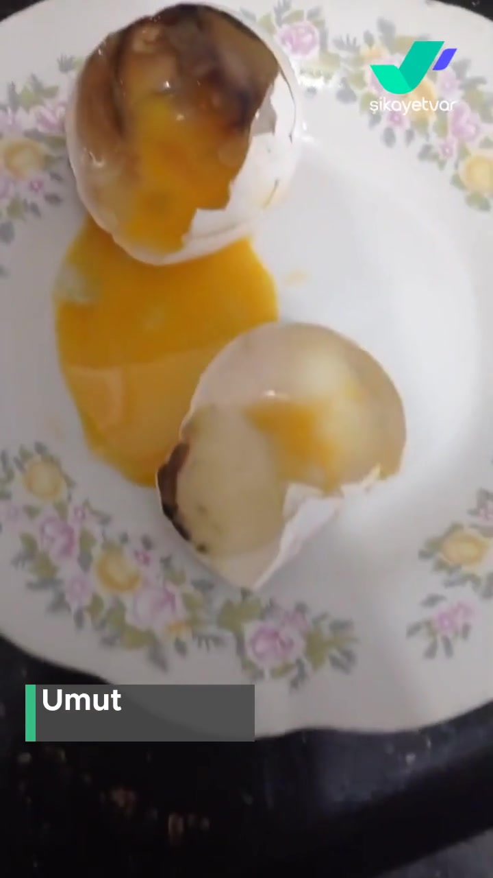 Cergibozanlar Marketler Zinciri Yumurta Aldım 6 Tanesi Küflü İçi Siyah Çıktı! videonun kapak resmi