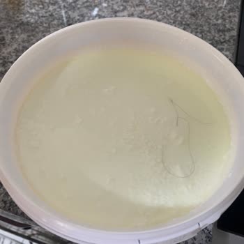 İçim Kaymaksız Yoğurttan Saç Teli Çıktı