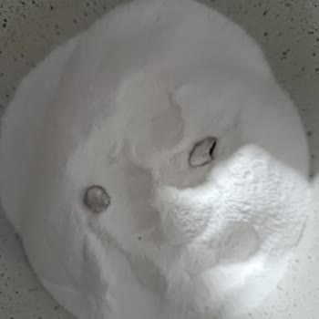 BİM Daphne Krem Şanti Ten Çıkan Şey