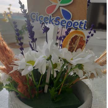 Çiçek Sepeti'nde Yarısı Boş Çiçek Gönderimi!