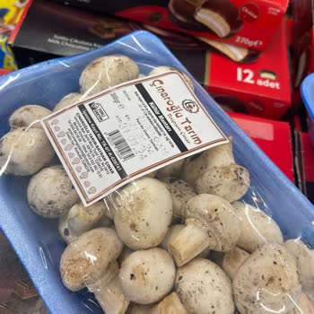Şok Marketler Tarihi Geçmiş Ürünler Kavaklı Mah