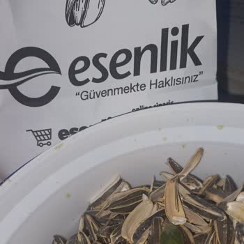 Esenlik Marketleri Üründen Kokarca Böceği Çıktı