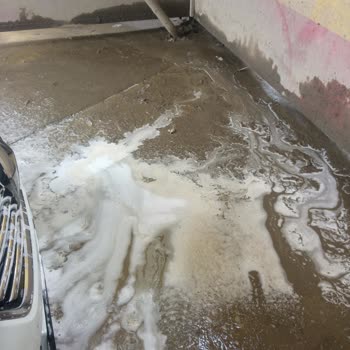 Shell' İn Umursamaz Yetkilisi Ve Yıkama Yerlerinin Kötülüğü