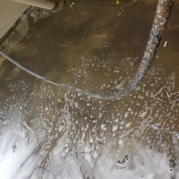 Shell' İn Umursamaz Yetkilisi Ve Yıkama Yerlerinin Kötülüğü