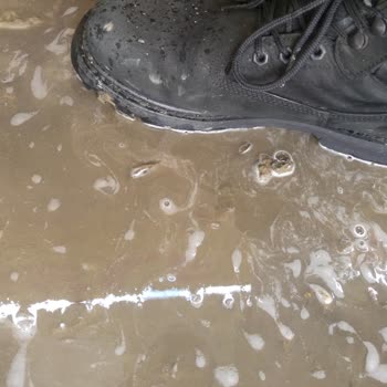 Shell' İn Umursamaz Yetkilisi Ve Yıkama Yerlerinin Kötülüğü