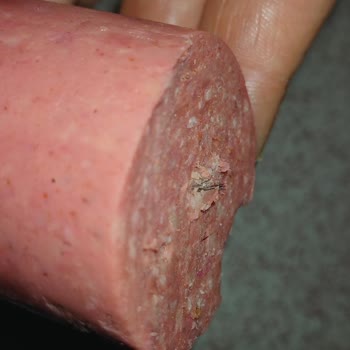 File Market File Harras Marka Sucuk Felaketi