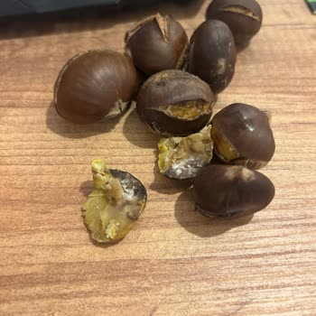 Hakmar Gıda Kilosu 250 TL Olan Çürük Kestane