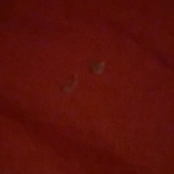 Sarev Ev Tekstili Ürünleri Kırmızı Nevresim Takımı Hayal Kırıklığı