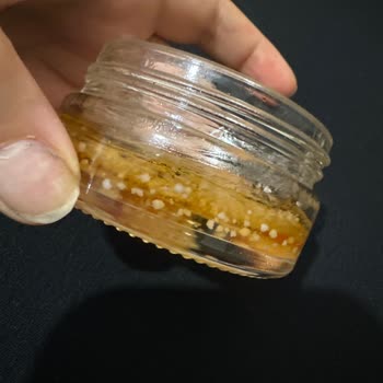 New Well Kaş Sabitleyicisinde Küflenme