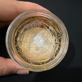 New Well Kaş Sabitleyicisinde Küflenme