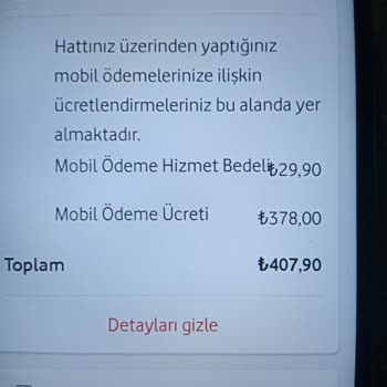 Vizyon Elektronik Para Fatura İptali Ve Ücret İadesi