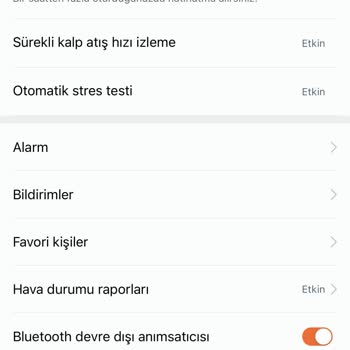 Honor Watch GT2 De Arayüz Problemi
