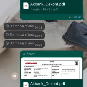Dyson Mağduriyetim Giderilsin: Sahte Site Sorunu