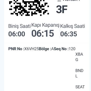 Pegasus Pişmanlıktır, Check-in İşlemleri