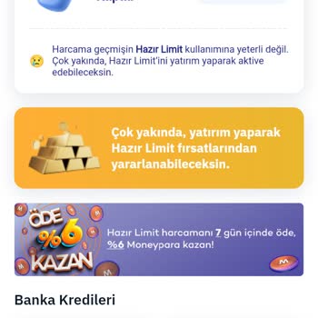 MoneyPay Hazır Limit Sorunu
