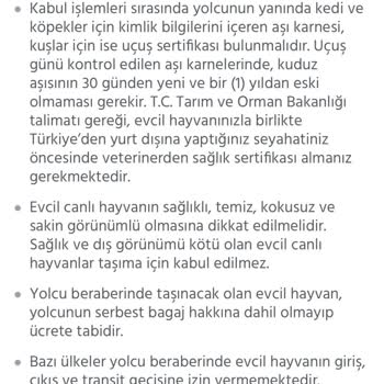 Anadolu Jet Ve Biletbayisi Hem Kedimi Hem Beni Mağdur Etti