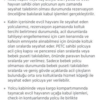 Anadolu Jet Ve Biletbayisi Hem Kedimi Hem Beni Mağdur Etti