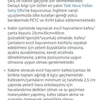 Anadolu Jet Ve Biletbayisi Hem Kedimi Hem Beni Mağdur Etti