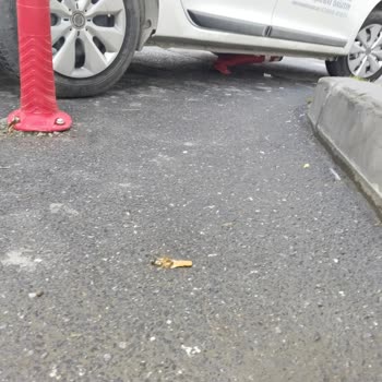 İBB - İstanbul Büyükşehir Belediyesi Park Sorunu Duba Üstüne Park Edilmesi