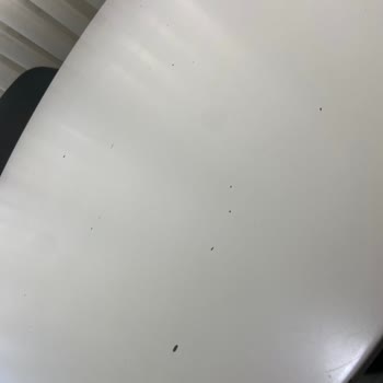 Vivense Pişmanlık Alan Herkesi Pişman Ediyor