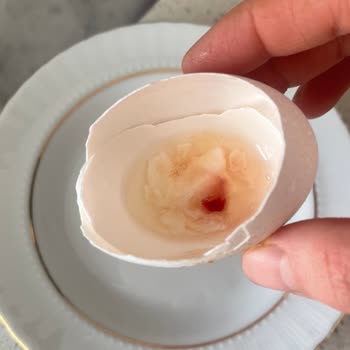 Türe Yumurtada Kan Çıktı