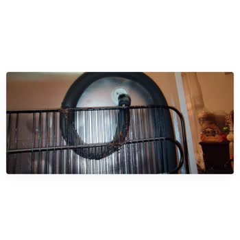 Arçelik Derin Dondurucu Gaz Ve Motor Arızası Sisteme Yağ Basmış