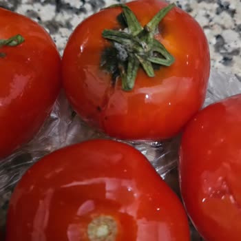 Şok Marketler Çürük Ürünler Gönderilmiş
