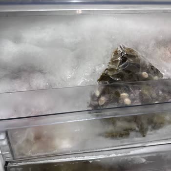 Arçelik Derin Dondurucu Donma Problemi