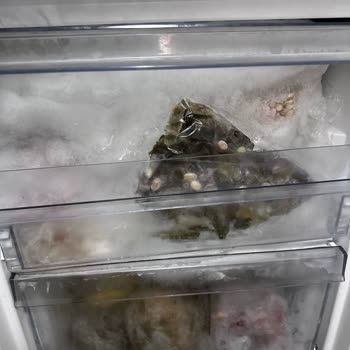 Arçelik Derin Dondurucu Donma Problemi