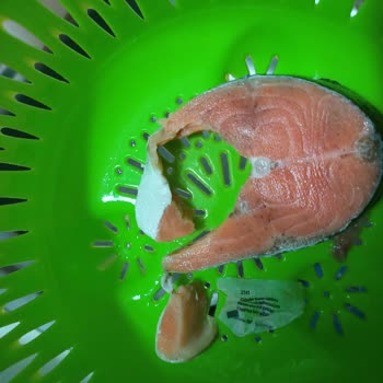 Erba Sea Food Erba Seafood Somon Dilim İçerisinden Çıkan Falım Kağıdı.