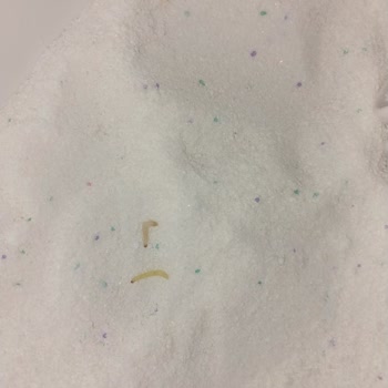 ABC Deterjan Bill Matik Renkliler İçin Üretilmiş Deterjandan Kurt Çıktı!