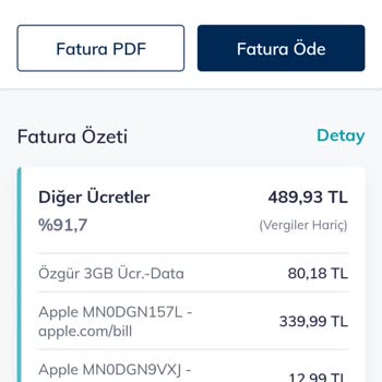 Faturama Yansıyan Apple Harcama Tutarı