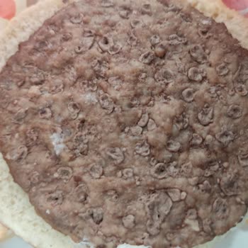 Burger King Hamburgerin İçindeki Kötü Şeyler