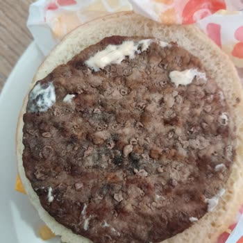 Burger King Hamburgerin İçindeki Kötü Şeyler