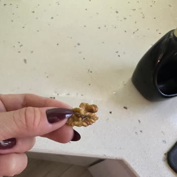 Ege Yükselen Kuruyemiş Kurtlu Ürün Satıyor!