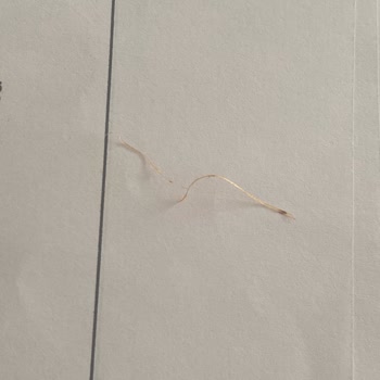 Lays Paketten Çıkan Kıl/İp