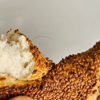 Sinangil Simitte Kıl Çıktı