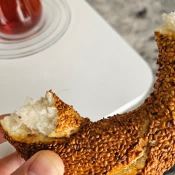 Sinangil Simitte Kıl Çıktı