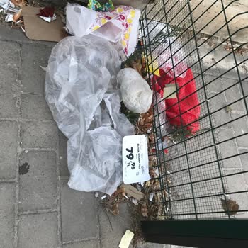 Şok Market Şubesi Çöp Sorunu