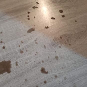 Arnica Fitre Pis Su Gelmesi