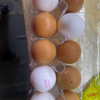 Organik Yumurta Tarım Kredi Kooperatifi