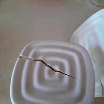 Lav Marka Kahvaltılık Kapak Hatası